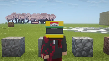 Banner
