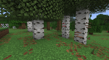 Creeping mushrooms