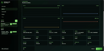 Server Metrics Tab