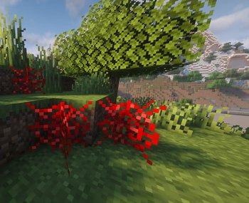 1.0-release Gallery2