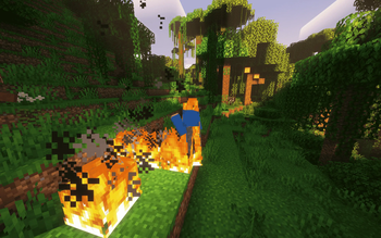 player on fire (with Not Enough Animation mod)