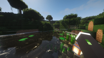 fogs, animations