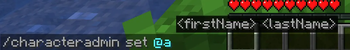 Admin Command Preview