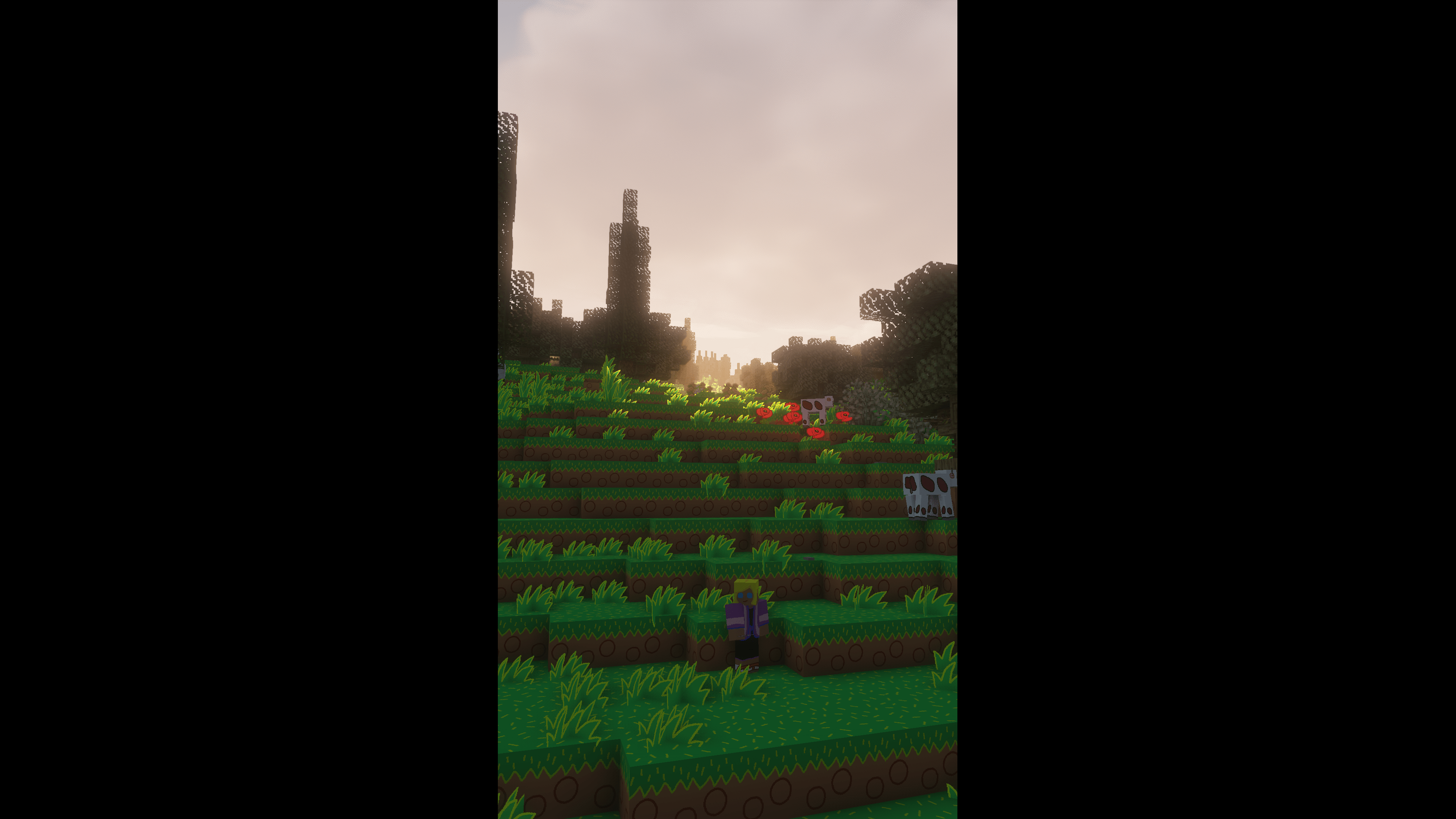 Showcasing mod functionality (game resolutinon changed to 9/16)