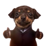 Nice Dog totem