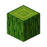 Mystical Wood