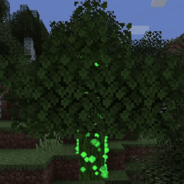 Mystical Tree