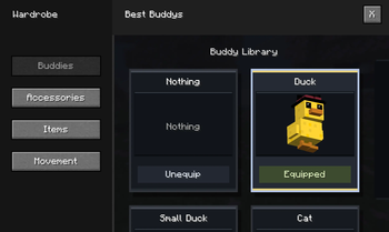 Best Buddys Wardrobe
