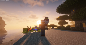 Sunrise