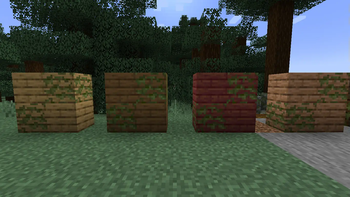 Oak, Spruce, Mangrove & Jungle