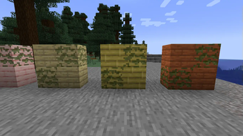 Birch, Bamboo & Acacia