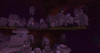 Corrupted Forest