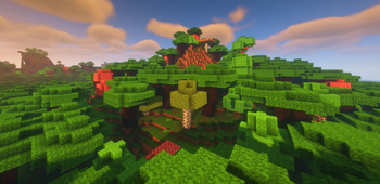 Dark Oak Forest!