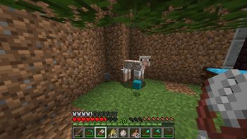 When shearing jeb_ sheep, they drop wool blocks of randomly selected color!