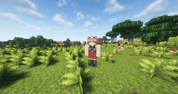 animation