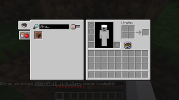 Survival Inventory