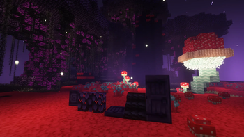 dragon_tree_stuff