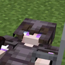 Cadaver