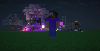 The Purple Pack