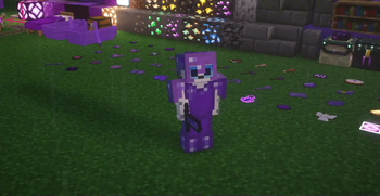 The Purple Pack