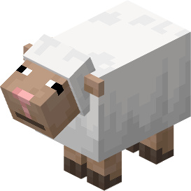 Sheep