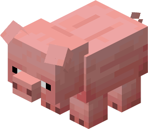 Pig