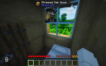 jester window stalker