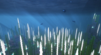 Horizon Dreams