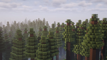Redwood Forest Biome