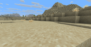 Desert Close 2 AFTER