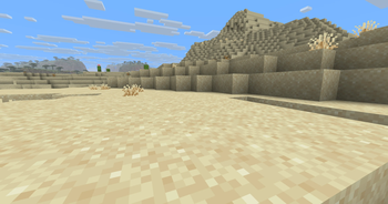 Desert Close 2 BEFORE