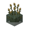 Water Firefly Bush