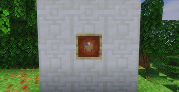 The knowledge book in an item frame