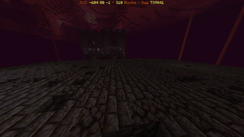 Nether Display