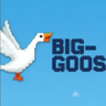 BIG-GOOSE server520 图标