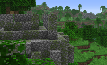 Jungle Temples are very common.