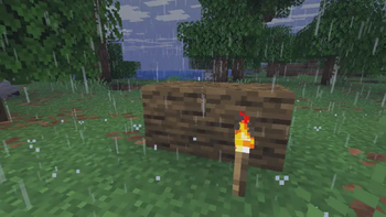 Rain Lucid Sky