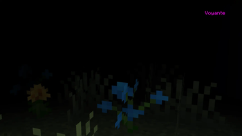 During the night...