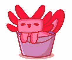 Red Axolotls