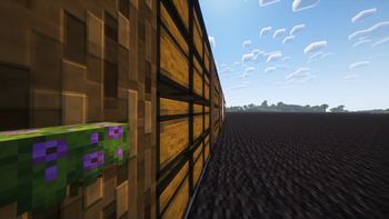 Chests
