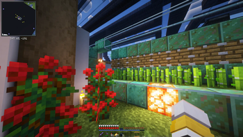 Farm