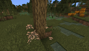 Overworld Swamp