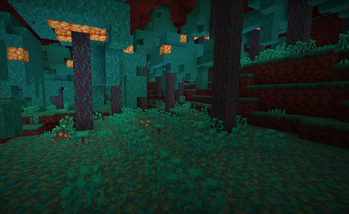 Warped Forest