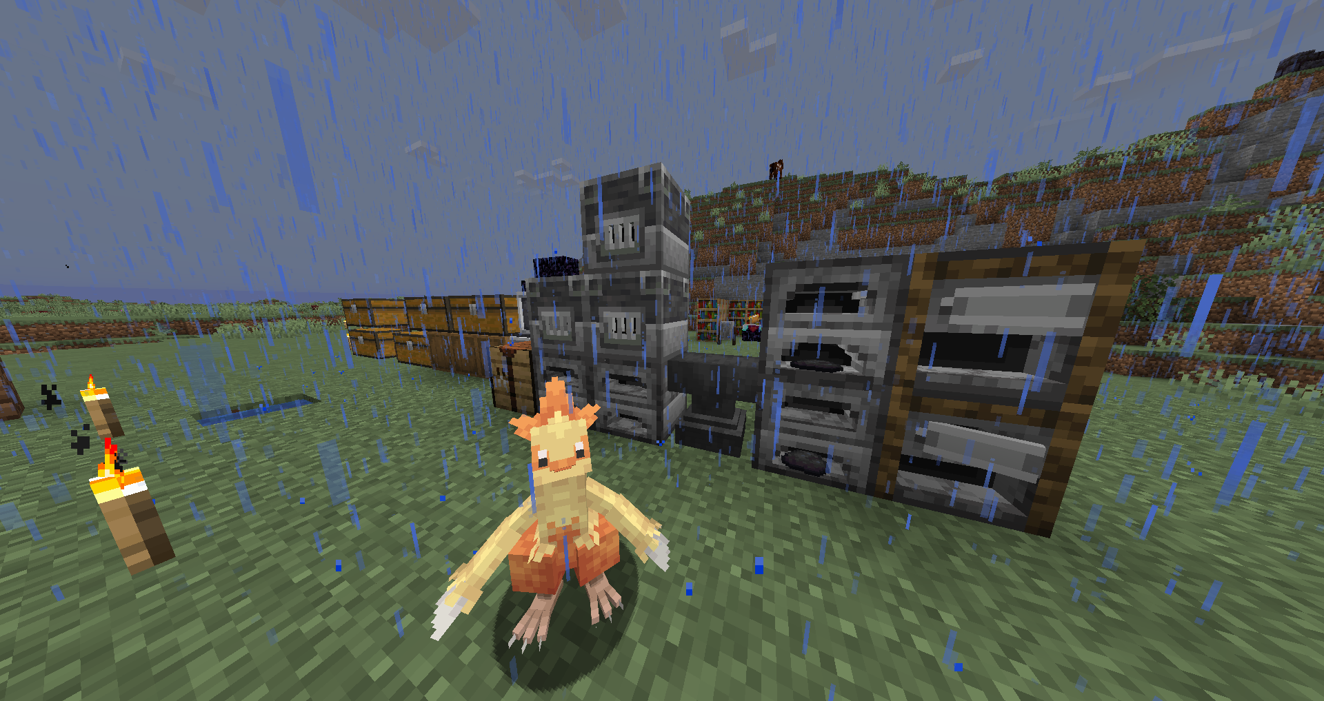 Combusken and the Furnaces