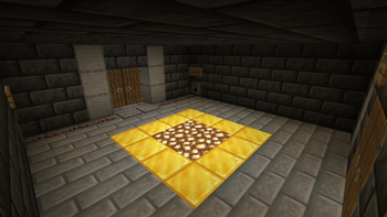 His House