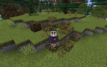Biomes o' Plenty Dead leaf piles