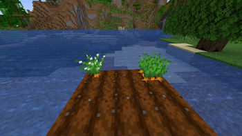 Overhauled carrot plant!