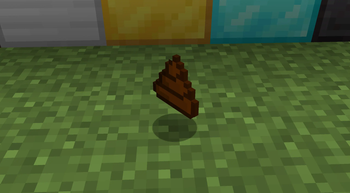 poop
