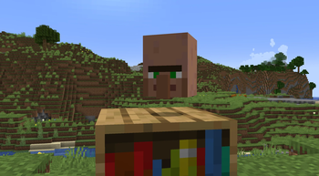 Villager Head