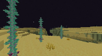 Solar Desert